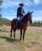 Get to know David Clouse - Sheriff of Navajo County